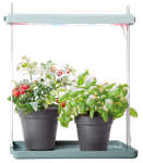 light garden 26cm blad groen